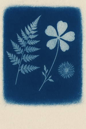 Stage CYANOTYPE du 4/04/26 à partir de 10 ans.