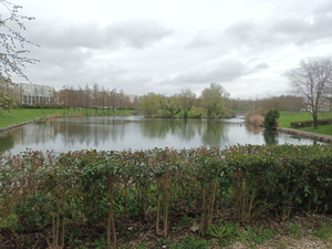 Etangs de Torcy Lognes 16 mars 2026 6.7 km 24 randonneurs